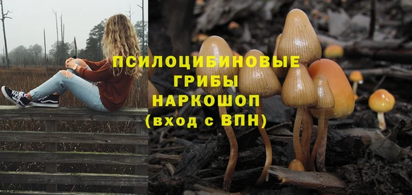 герыч Заволжск