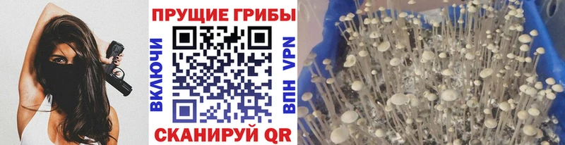 Купить где  Юрга  Галлюциногенные грибы ЛСД 